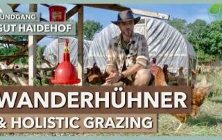Wanderhühner im holistischen Weidemanagement | Gut Haidehof | Rundgang 4
