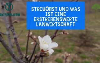 Warum gibt es Streuobst und was ist eine erstrebenswerte Landwirtschaft | Freybauern (2020)