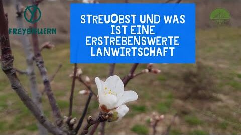 Warum gibt es Streuobst und was ist eine erstrebenswerte Landwirtschaft | Freybauern (2020)