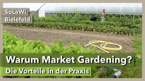 Warum Market Gardening? Die Vorteile in der Praxis | SoLaWi Bielefeld | Rundgang 3 | 2021