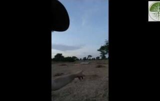 Wasserleitung  verlegen | Beratungspojekt Senegal