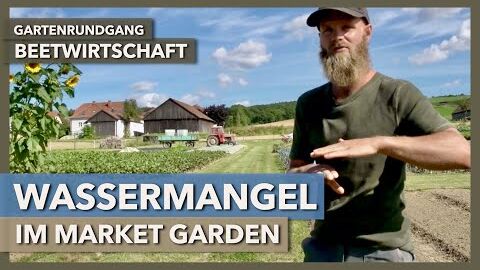 Wassermanagement in Trockengebieten, Market Garden, Begrünungen | Beetwirtschaft | Gartenrundgang 1