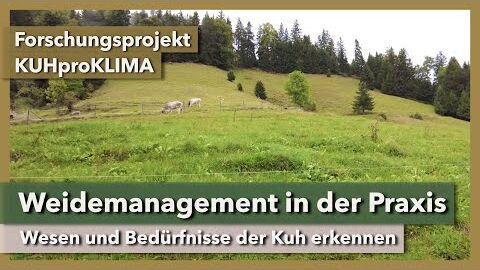 Weidemanagement in der Praxis – von den Kühen lernen | KUHproKLIMA | KugelSüdhangHof | 2022