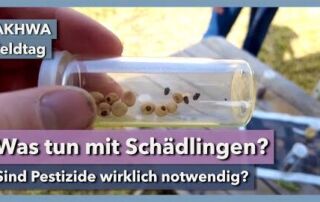 Wie schädlich sind Schädlinge wirklich? | Natalie Riemer | AKWAH Feldtag | 2023