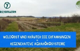 Wildobst und Kräuter die Erfahrungen | regenerative Agrarökosysteme | Rundgang | Freybauern (2020)