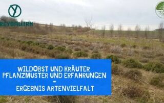 Wildobst und Kräuter die Pflanzmuster und Erfahrungen | Ergebnis Artenvielfalt | Freybauern