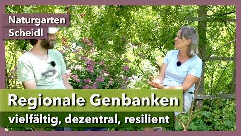 Wir brauchen mehr regionale Sortenerhalter | Naturgarten Scheidl | Interview 2 | 2021