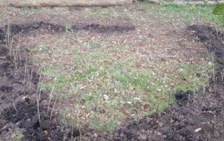 Wir Pflanzen ein Haus | Fertig gepflanzt | Naturbauten (2019)