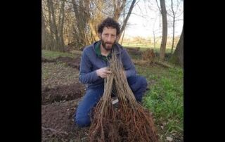 Wir pflanzen ein Haus | Vorstellung und Hintergrund | Naturbauten (2019)