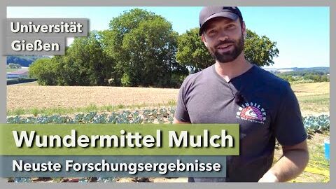 Wundermittel Mulch – Neuste Forschungsergebnisse | Universität Gießen | Rundgang 1 | 2021