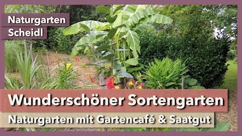 Wunderschöner Sortengarten mit Gartencafé & Saatgutverkauf | Naturgarten Scheidl | Rundgang 1 | 2023