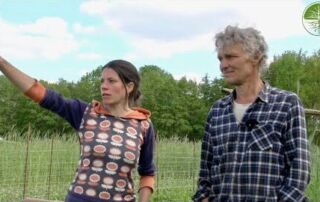 Wurzelunkräuter im Market Garden | Silofolien zur Beetvorbereitung | Solawi Hofgarten Lemgrabe