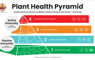 Plant Health Pyramid (Pflanzengesundheitspyramide) nach John Kempf