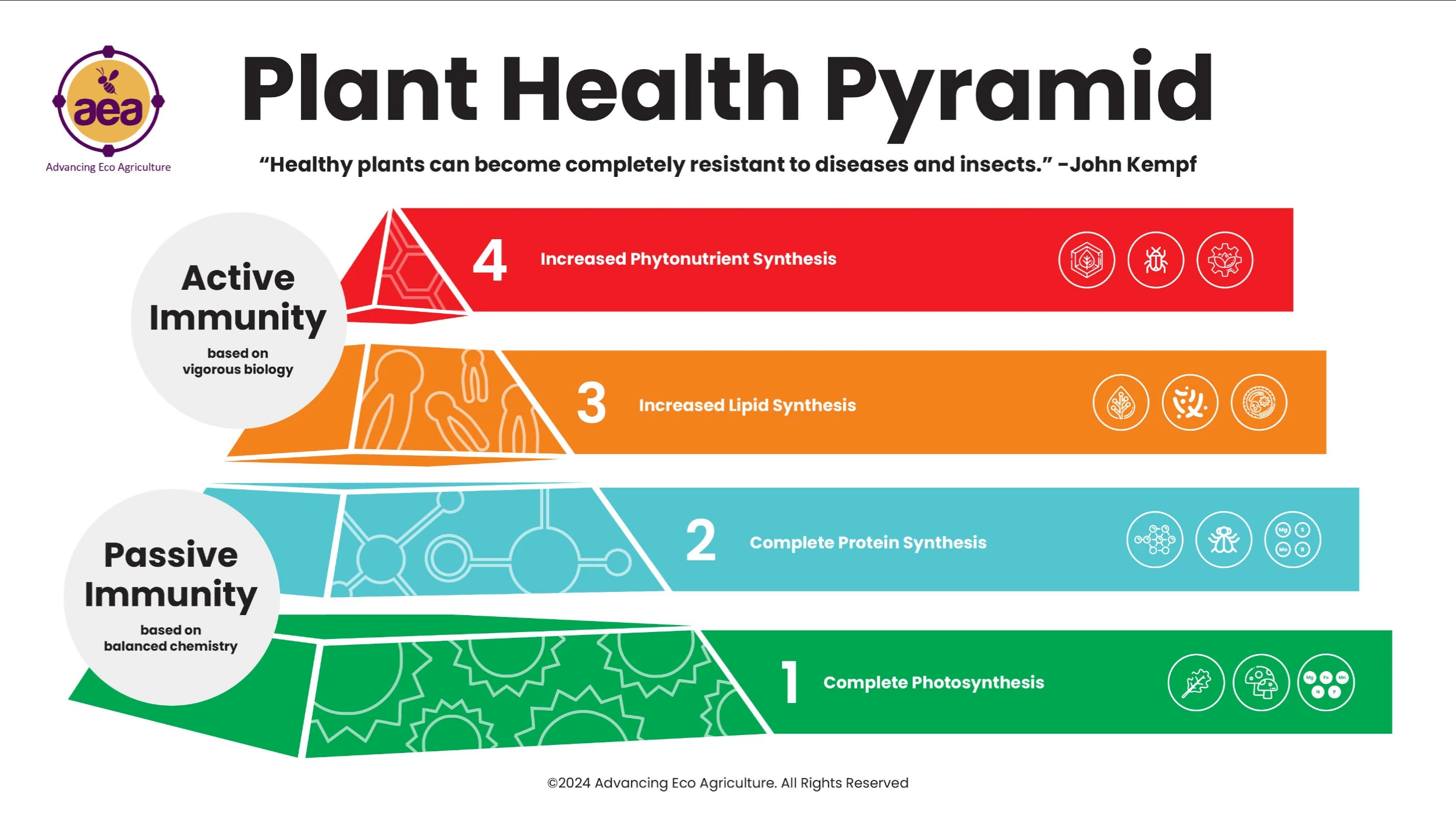 Plant Health Pyramid (Pflanzengesundheitspyramide) nach John Kempf Bild: Pflanzengesundheit verstehen: Wie gesunde Böden Pflanzen vor Schädlingen schützen