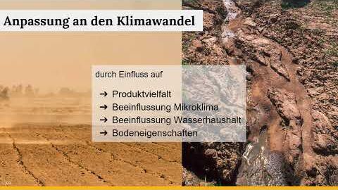 Agroforst-Grundlagen