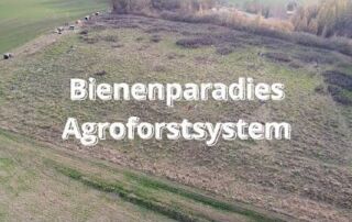 Agroforstsystem “Bienenparadies” – Symbiose aus Naturschutz und Landwirtschaft