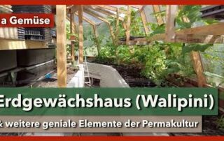 Erdgewächshaus (Walipini), Erdmiete für Lagergemüse & Kleinklima | 1a Gemüse | Rundgang 4 | 2023