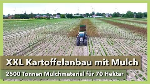 Kartoffelanbau mit Mulch – im XXL-Format auf 70 ha | Projekt Mulchanbau | Biohof Dührsen | Teil 1
