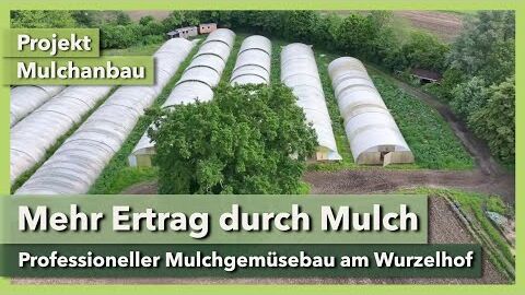 Mehr Ertrag & gesündere Pflanzen durch Mulchgemüsebau | Projekt Mulchanbau | Wurzelhof | Teil 1