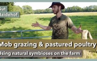 Mob grazing & pastured poultry in regenerative farming | Gut Haidehof | Part 4 | 2023