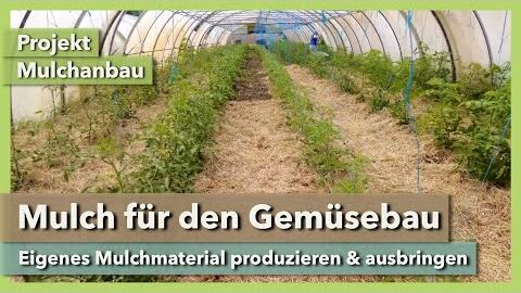 Mulch für den Gemüsebau selbst produzieren – Praxistipps | Projekt Mulchanbau | Wurzelhof | Teil 2