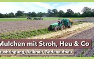 Mulchen mit Stroh, Heu & Co – Ausbringung & Beikraut | Projekt Mulchanbau | Wurzelhof | Teil 4