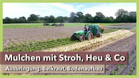 Mulchen mit Stroh, Heu & Co – Ausbringung & Beikraut | Projekt Mulchanbau | Wurzelhof | Teil 4