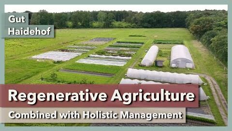 Regenerative Agriculture combined with Holistic Management | Gut Haidehof | Part 1 | 2023