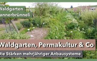 Waldgarten, Permakultur & Co | Waldgarten Tannerbrünneli | Rundgang 3 | 2023