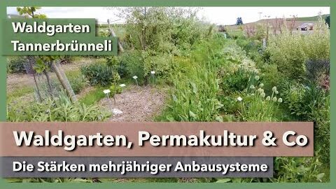 Waldgarten, Permakultur & Co | Waldgarten Tannerbrünneli | Rundgang 3 | 2023
