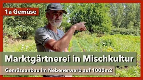 Wunderschöne kleine Marktgärtnerei mitten im Grünen | 1a Gemüse | Rundgang 1 | 2023