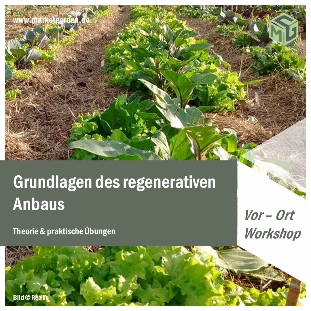 Bild: Grundlagen des regenerativen Anbaus